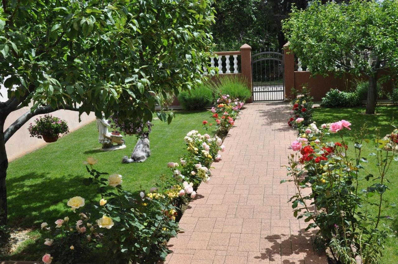 Apartman Tea Privlaka  Dış mekan fotoğraf
